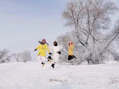 -雾凇岛