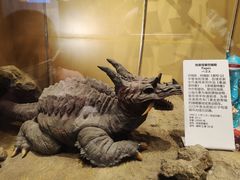 -小山日本料理(电子大厦店)