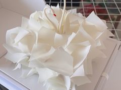 至美14cmx14cm-BLACKSWAN黑天鹅(环球店)