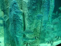 -福州罗源湾海洋世界旅游区