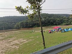 -野妹经典火锅(江夏中百店)