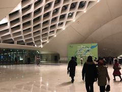 -哈尔滨大剧院