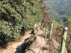 -伴山茶苑·一盏冰茶·半日山居