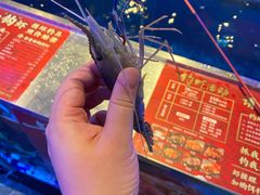 -钳真多钓虾馆·小龙虾海鲜烧烤(九六广场店)