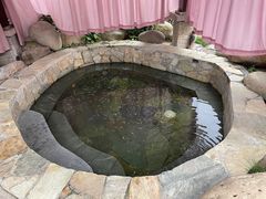 -余姚阳明温泉山庄