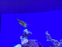 -上海海洋水族馆