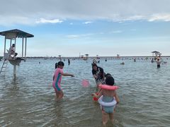 -碧海金沙
