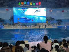 -泉城欧乐堡海洋极地世界