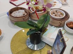 -金河半岛园林酒家(金融城店)