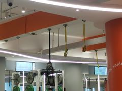 -MEGA BASE 健身馆(南山店)