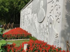 -陈家山荷花公园