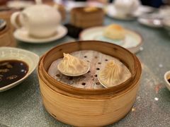 -南海渔村(珠江新城店)