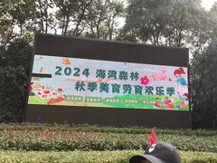 -上海海湾国家森林公园