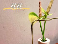 -Primo·丽莫意大利窑烤披萨