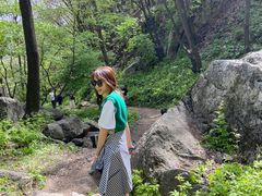 -王顺山国家森林公园