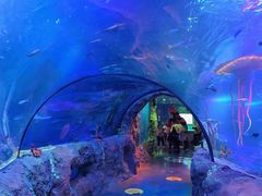 -沈阳海洋探索中心