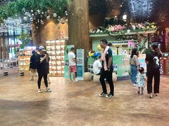 -杭州开元森泊度假乐园