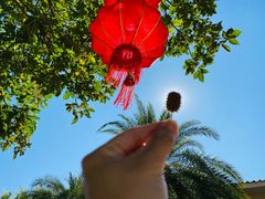 -惠州金海湾嘉华度假酒店