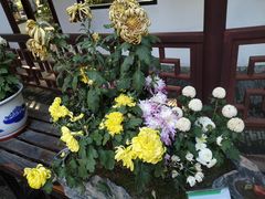 -汇龙潭