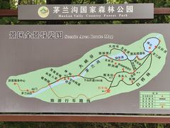 -茅兰沟国家森林公园