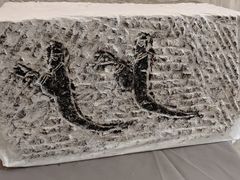 -泰山大剧院