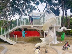 -银湖山郊野公园-相思林