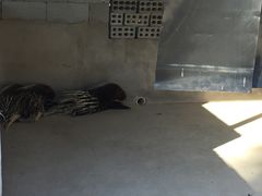 游乐设施-上海长兴岛郊野公园