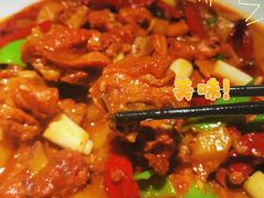 -新疆沙湾大盘鸡(重师店)