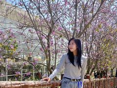 -盈香心动乐园