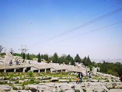 -原山国家森林公园