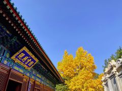 -香山公园