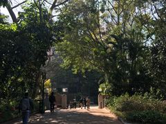 -九龙公园