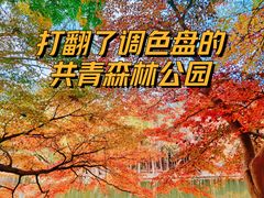 -上海共青森林公园