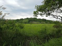 -梁子湖风景区
