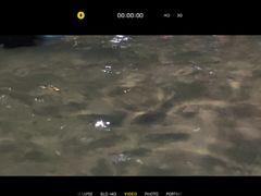 -重庆海昌加勒比海水世界