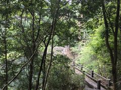 -广州市石门国家森林公园