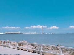 -上海吴淞炮台湾国家湿地公园