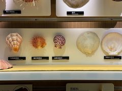-青岛海底世界-水族馆