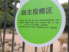 -无锡动物园·太湖欢乐园
