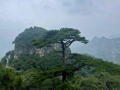 -圣莲山风景区
