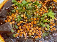 肥肠血旺-乐氏荤豆花