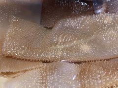 极品鲜毛肚-小龙坎火锅(总店)