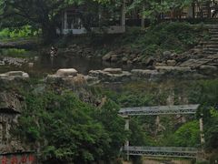-水墨汀溪风景区