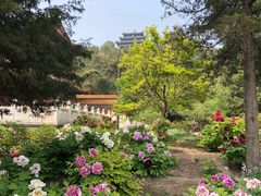 景点-景山公园