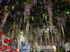 -寂寞的豆芽(龙泽路店)