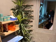 -施奈儿.洗头頭療.按摩SPA.采耳(上梅林店)
