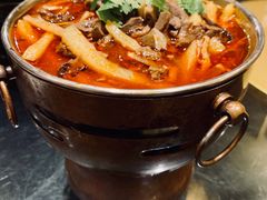 红汤羊杂-蒙料·手把肉(望京店)