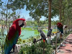 -水上乐园·欢乐世界