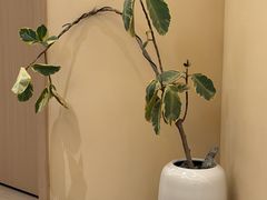 -艾耳堂·采耳头疗SPA(蟠龙天地店)