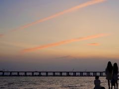 -宝安西湾红树林湿地公园